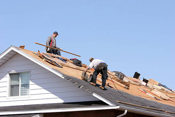 Best Rubber Roofing (EPDM, TPO)  in Brookneal, VA